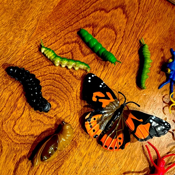 Insect Bugs Classroom Toy Lot with Metamorphosis Pieces - Picture 2 of 7